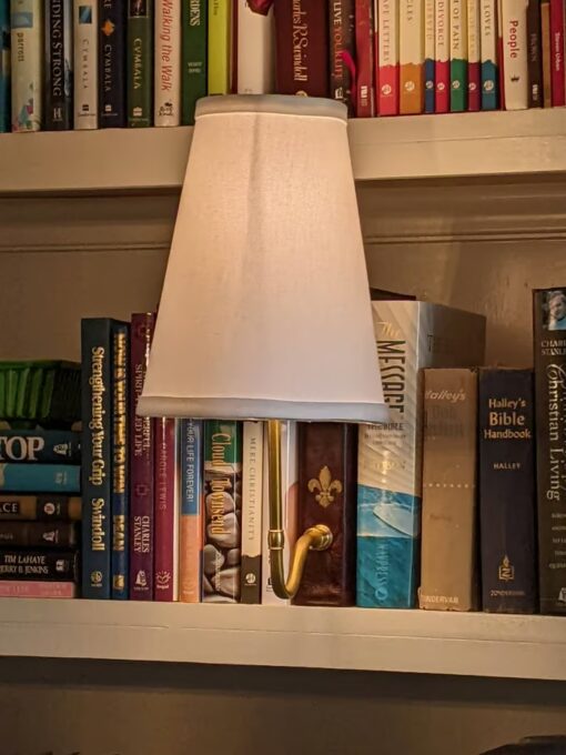 Battery-Powered Adjustable LED Reading Lamp