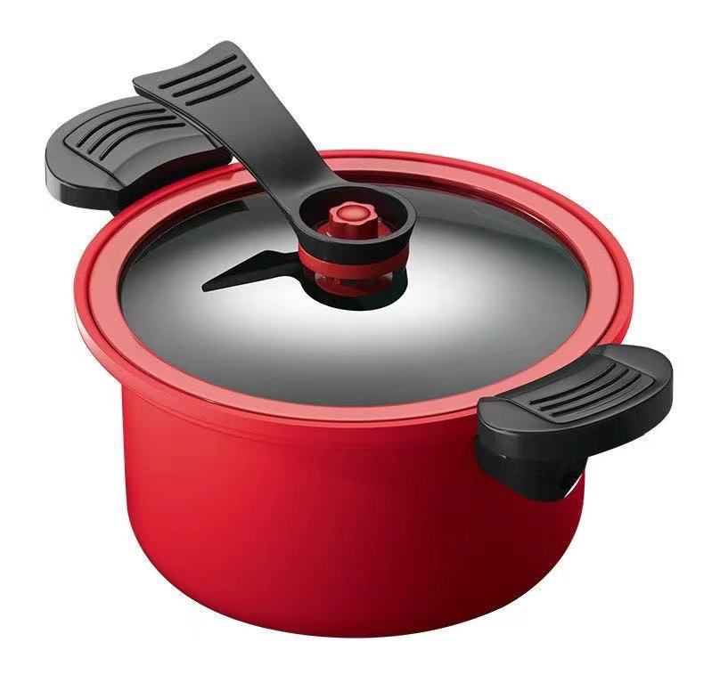 Micro Pressure Cooker for Fast Cooking