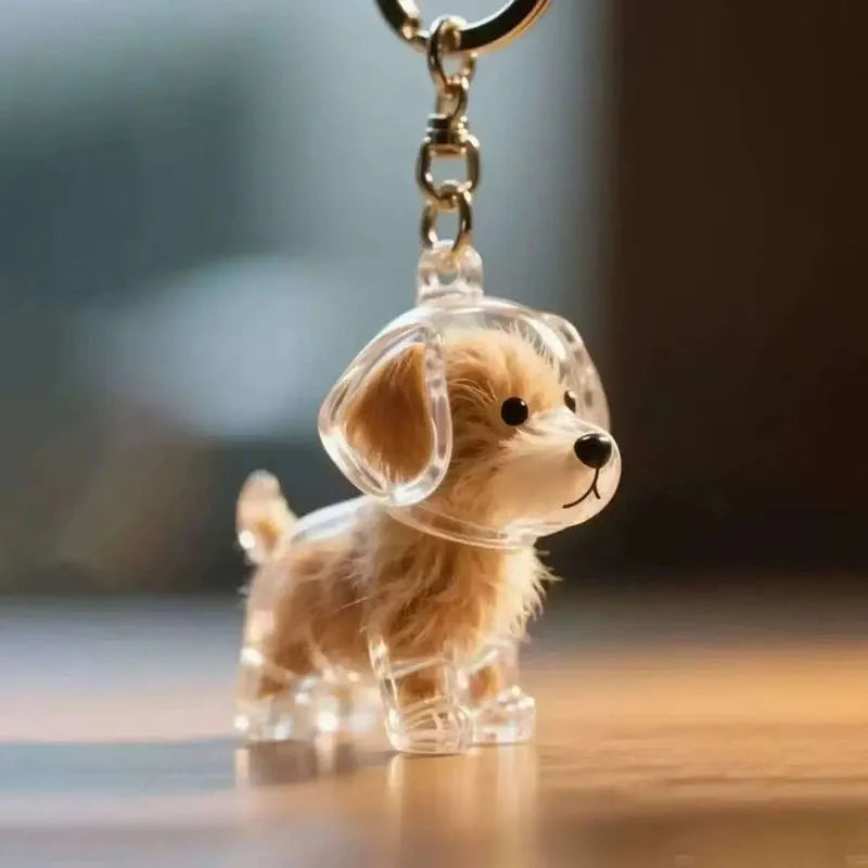 PawNest™ - Dog Hair Memory Capsule Keepsake